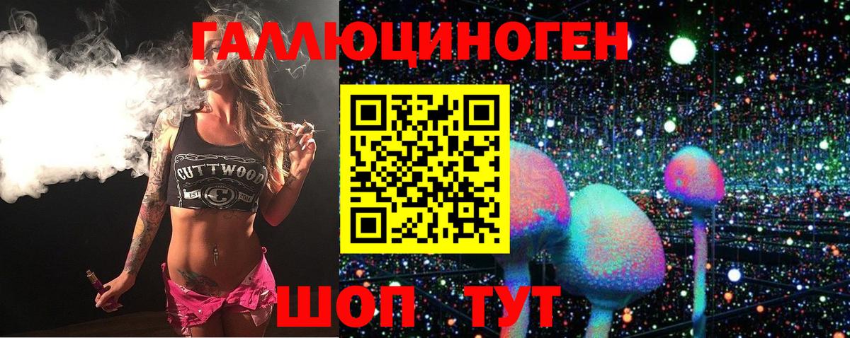 Дзержинск  Псилоцибиновые грибы Psilocybe  Вход с VPN 